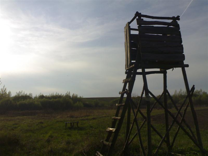 200704091842 .jpg